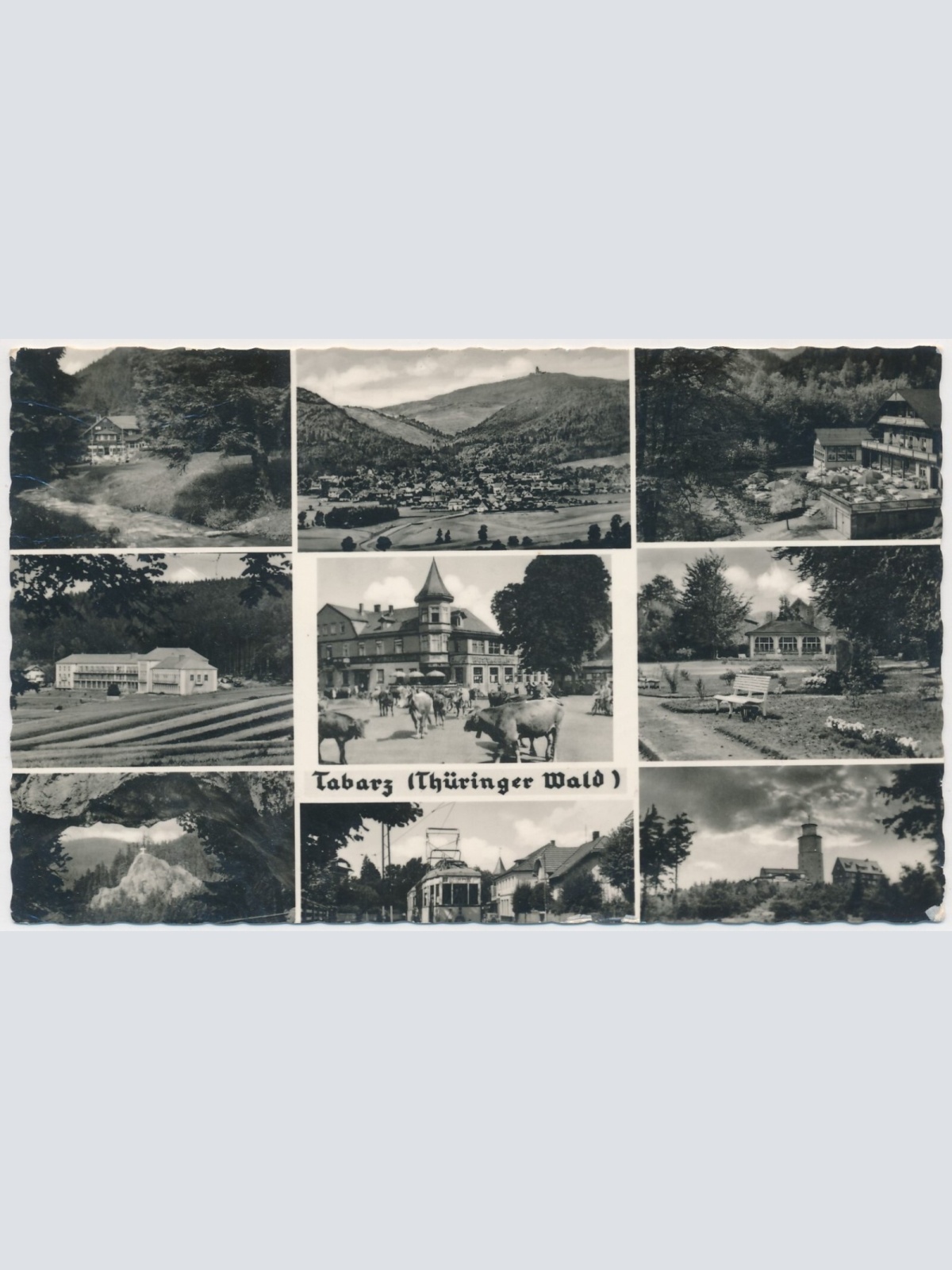 AK, Tabarz, Thüringer Wald, Thüringen (S1717)