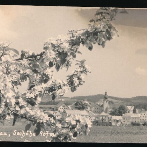 AK aus Liebenau Oberösterreich (5866)