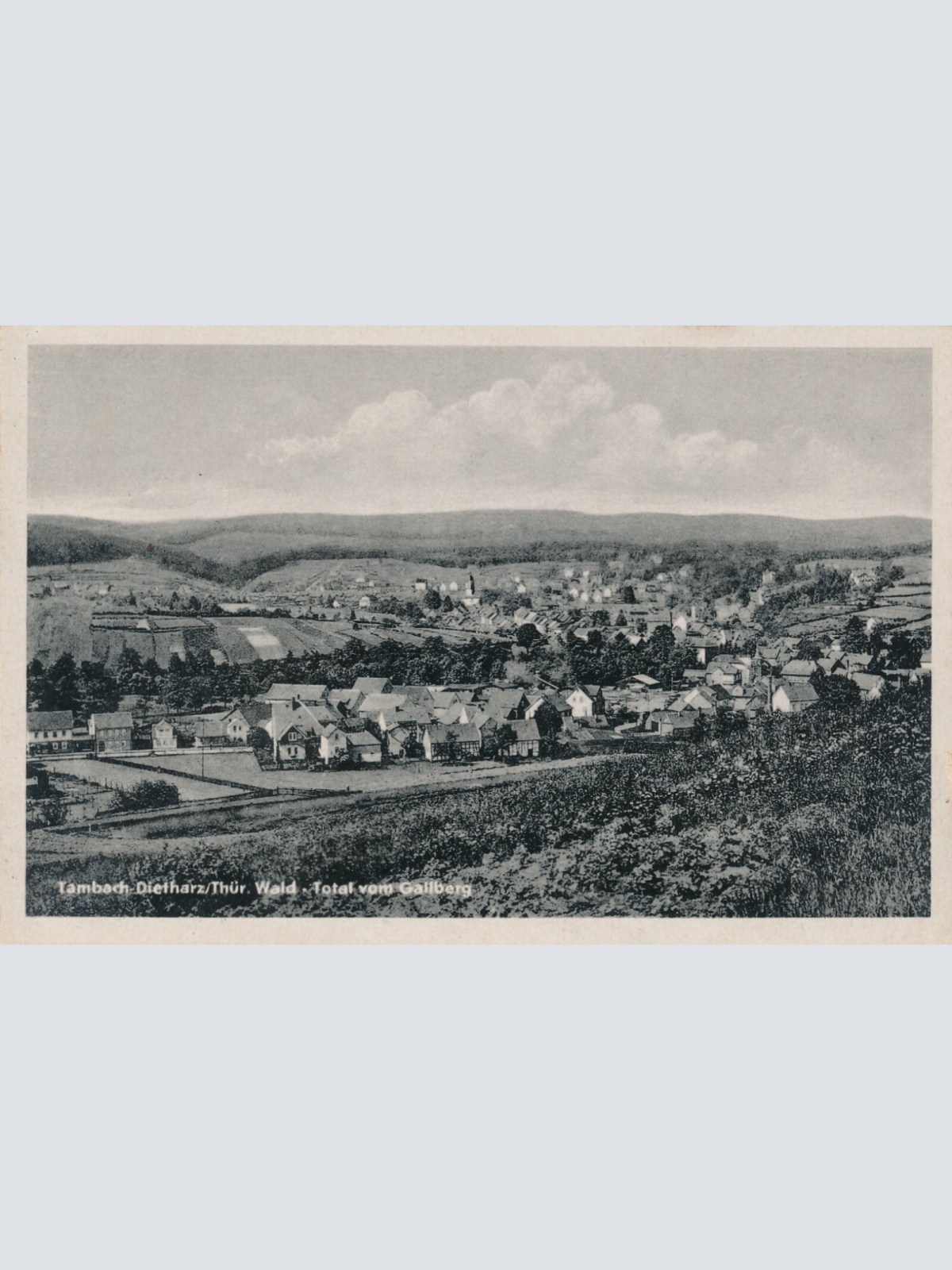 AK, Tambach-Dietharz, Thüringen, Wald - Total vom Gallberg (S1521)