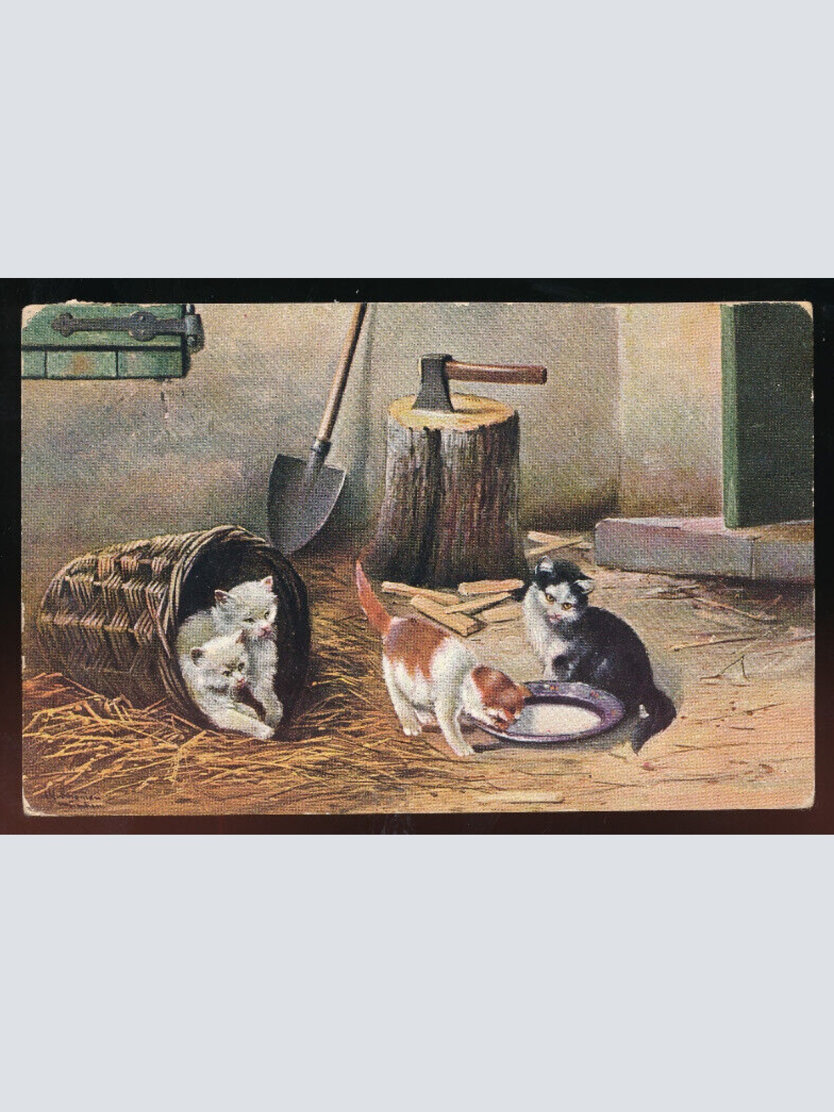 AK von vier Katzen mit Milchschale (5613)