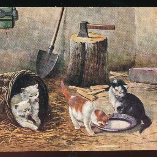 AK von vier Katzen mit Milchschale (5613)