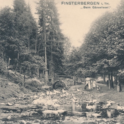 AK, Friedrichroda, Finsterbergen, beim Gänseliesel, Thüringen (S1906)
