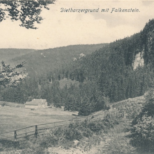 AK, Dietharzergrund mit Falkenstein, Thüringen (S2020)