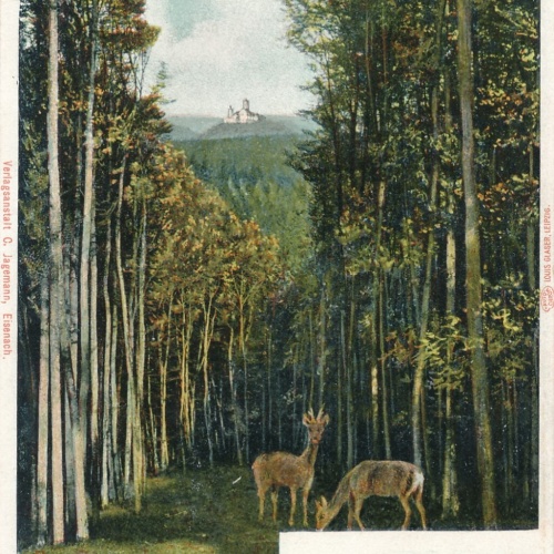 AK, Durchblick von der Hohen Sonne an der Wartburg (S2017)