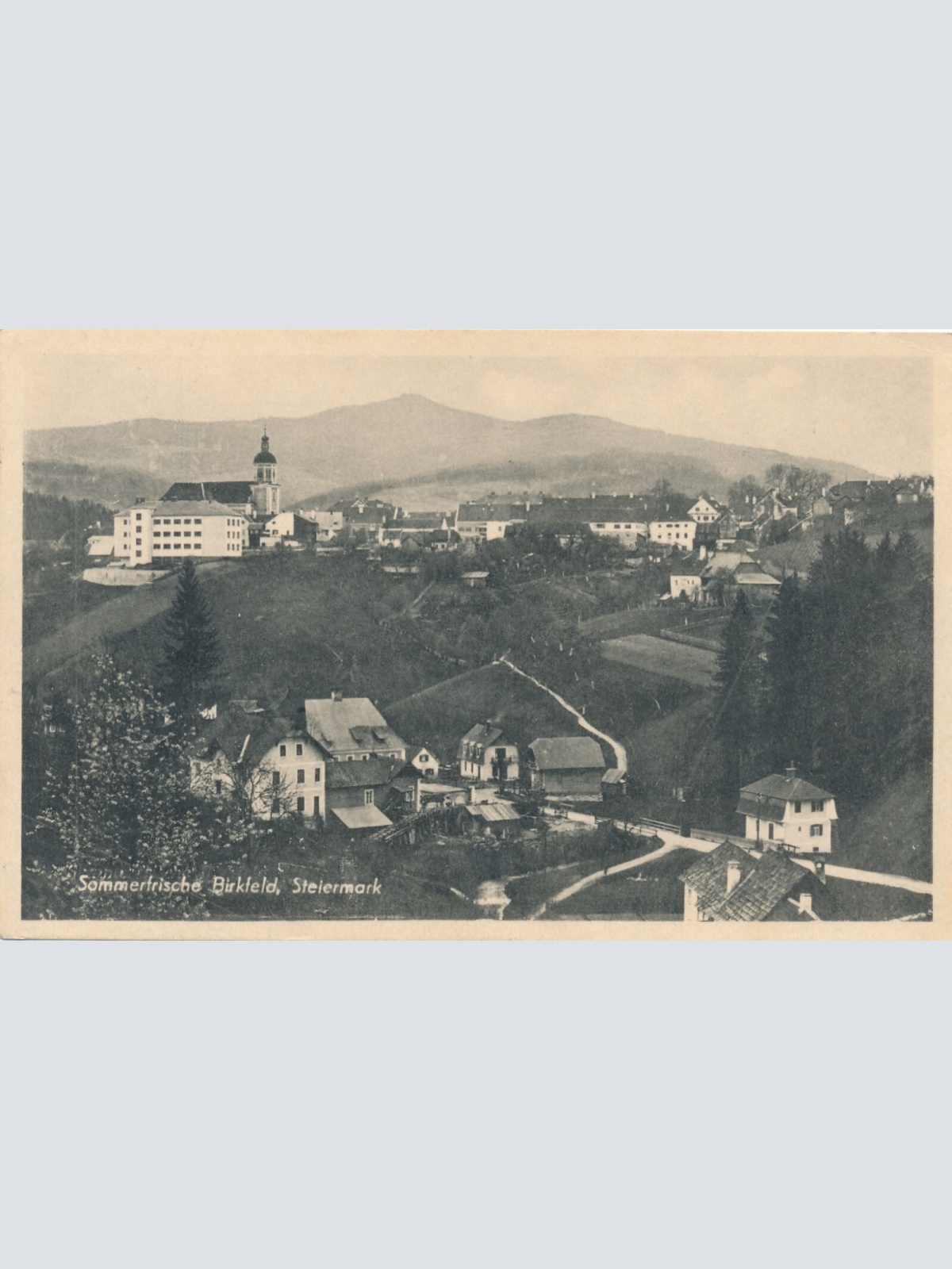 AK aus Birkfeld Steiermark (6295)