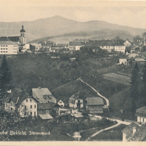 AK aus Birkfeld Steiermark (6295)