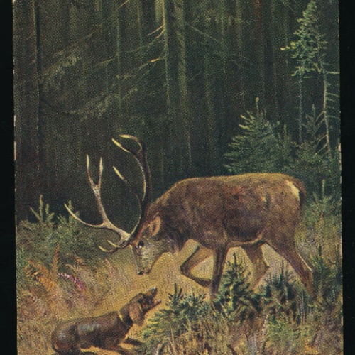 Motiv - Karte Gruß von der Jagt mit Hund und Hirsch (5962)