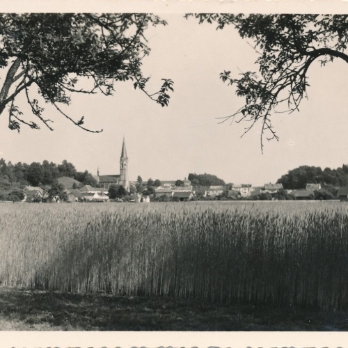 AK aus Mauerkirchen Oberösterreich (6670)