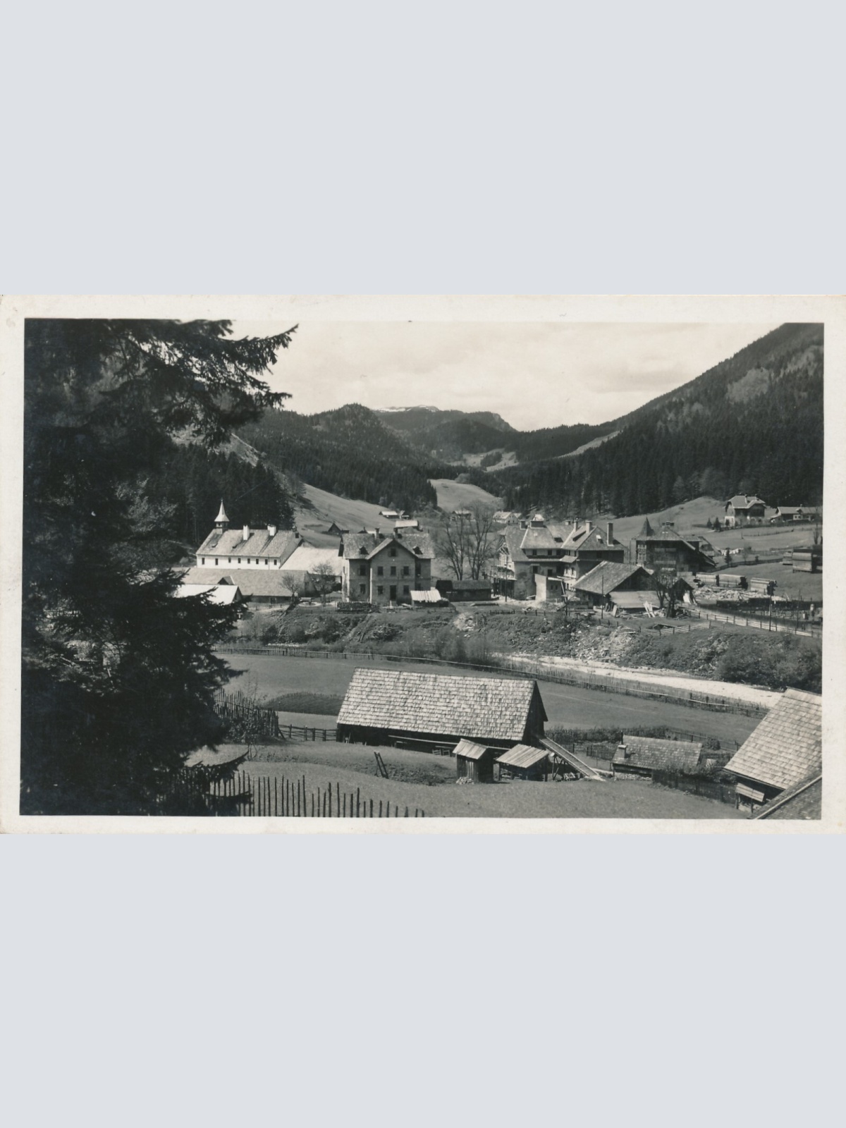 AK aus Frein bei Mürzsteg Steiermark (6423)