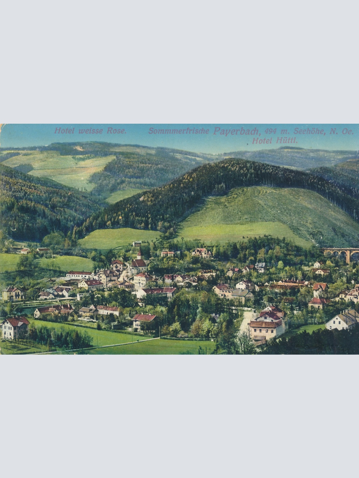 AK aus Payerbach mit Hotel weisse Rose Niederösterreich (6388)