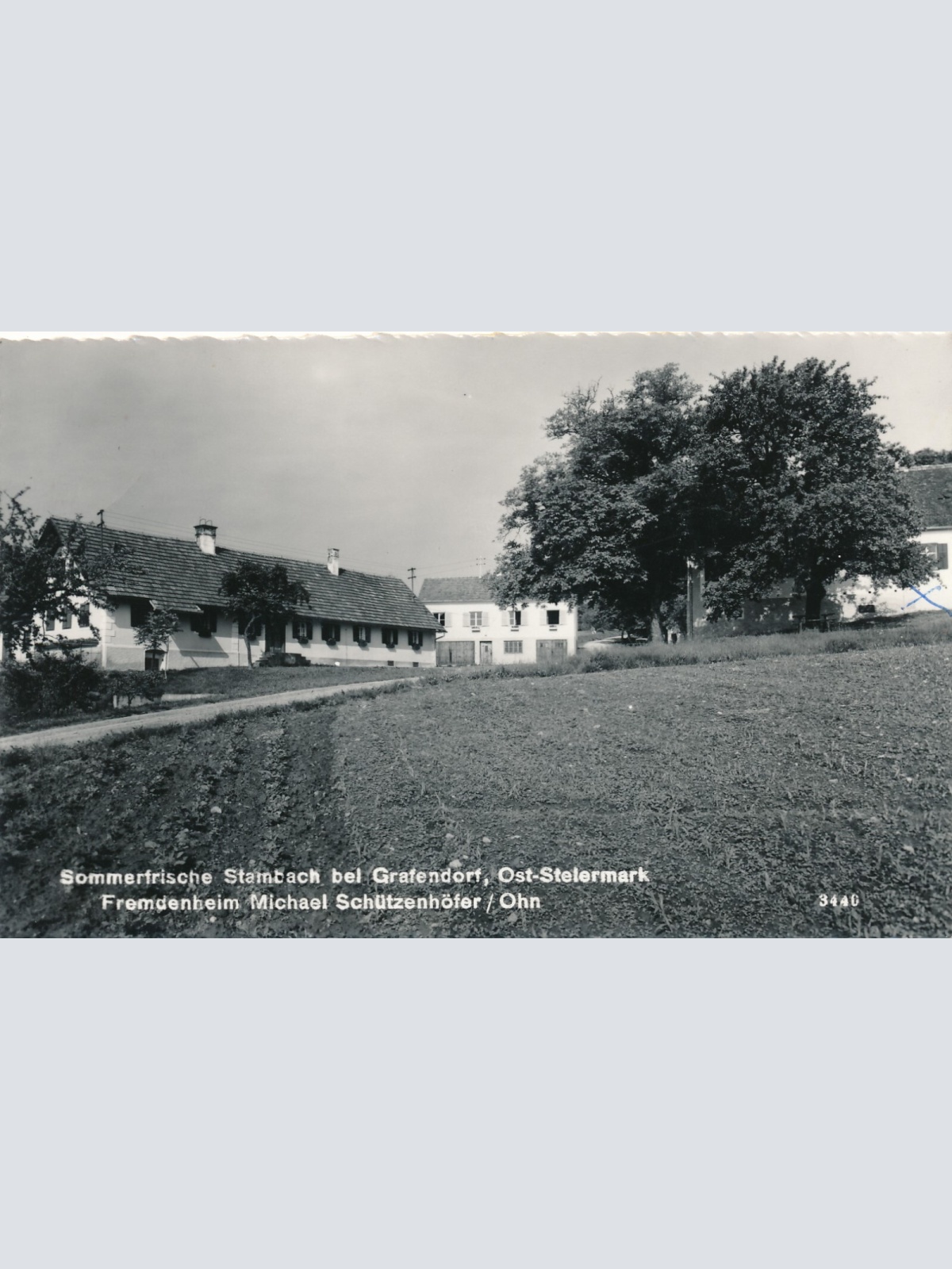 AK aus Starnbach Fremdenheim Michael Schützenhöfer Steiermark (6142)