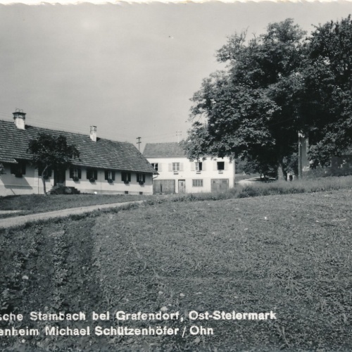 AK aus Starnbach Fremdenheim Michael Schützenhöfer Steiermark (6142)
