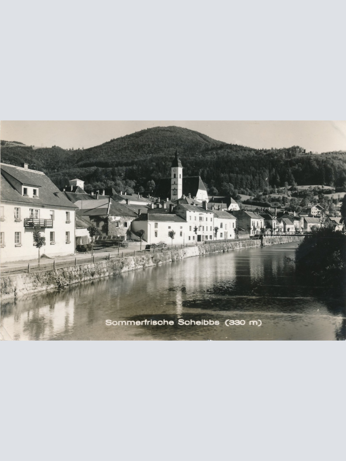 AK aus Scheibbs Niederösterreich (6867)