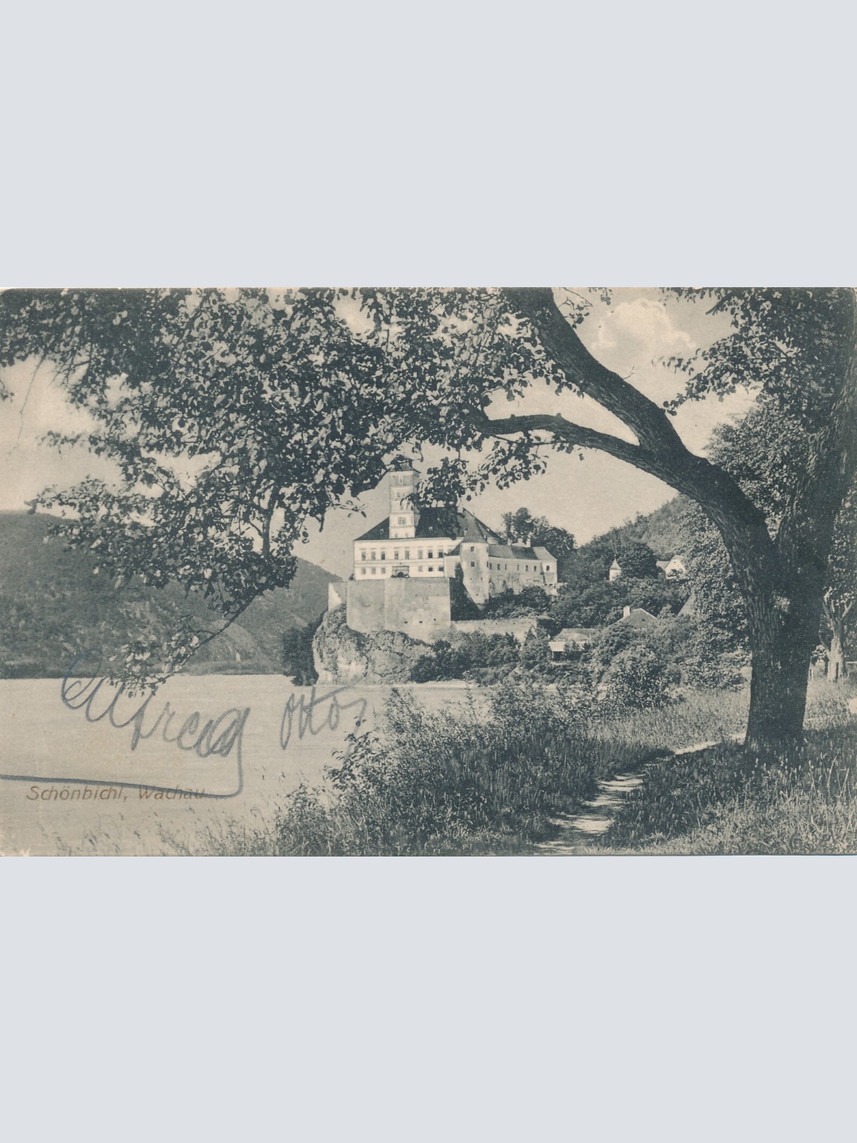 AK aus Schönbühel an der Donau mit Schloss Niederösterreich (6981)