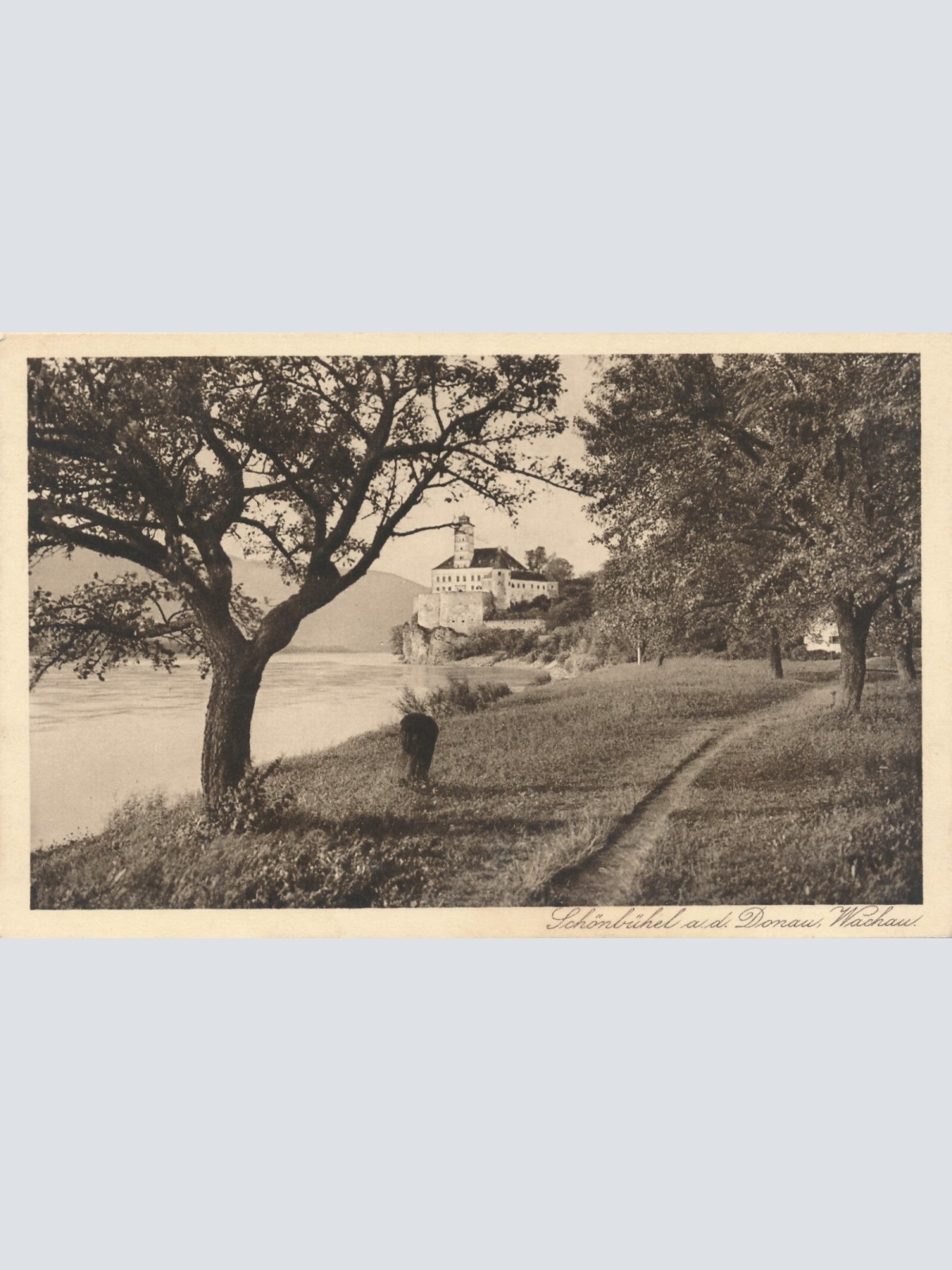 AK aus Schönbühel an der Donau mit Schloss Niederösterreich (6983)