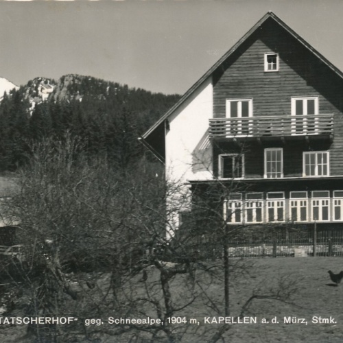AK vom Alpengasthof Tatscherhof Steiermark (7011)