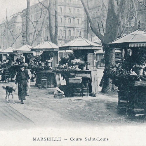 AK aus Marseille Frankreich (6718)