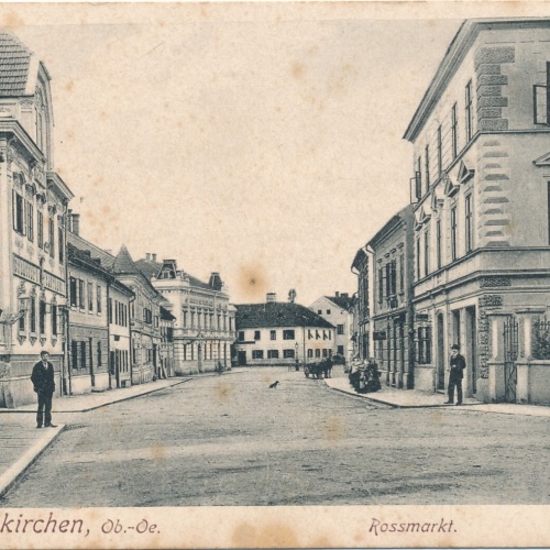 AK aus Grieskirchen Rossmarkt Oberösterreich (6768)
