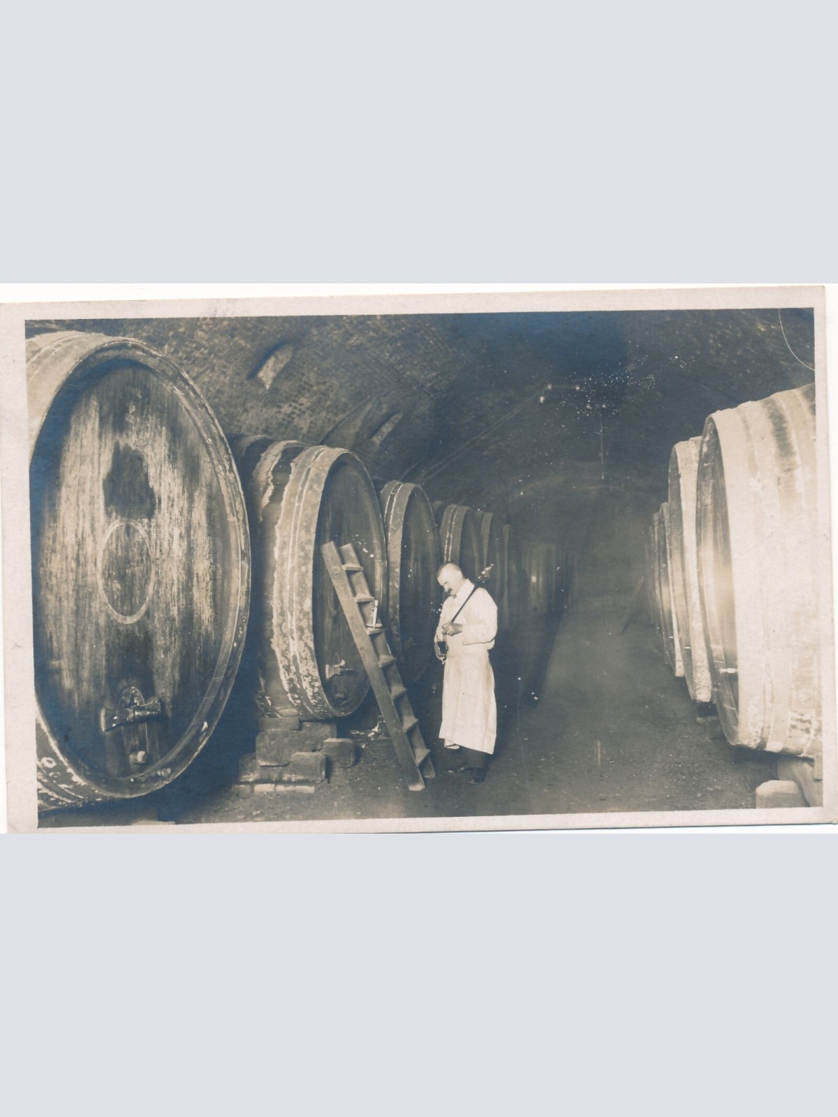 AK aus Melk Kellerstüberl Niederösterreich (7396)