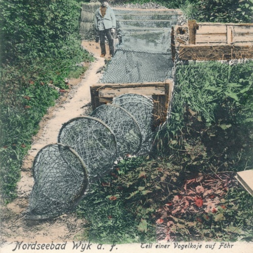 AK aus Wyk am Föhr Nordseebad mit Fischreuse Schleswig - Hohlstein (6491)