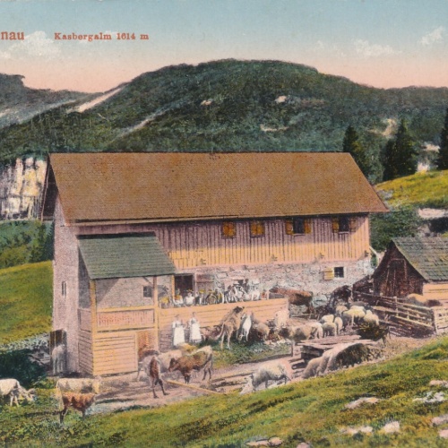 AK aus Grünau Oberösterreich (7471)