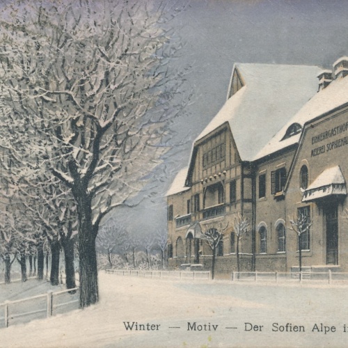 AK vom Winter im Wienerwald Sofien Alpe Niederösterreich (7176)