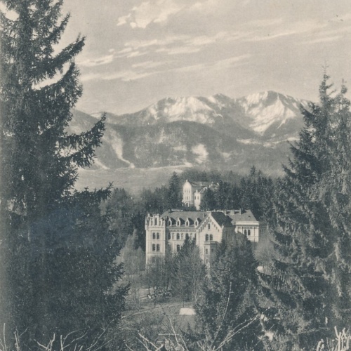 AK aus Gmunden mit Schloss Ort Oberösterreich (7688)