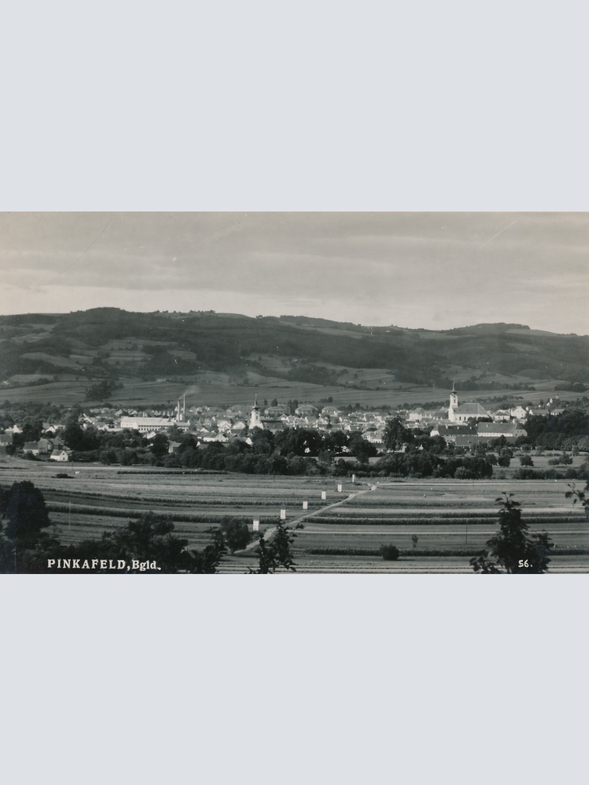 AK aus Pinkafeld Burgenland (7183)