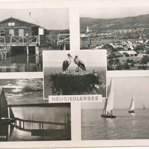 AK vom Neusiedlersee Mehrbildkarte Brugenland (7511)