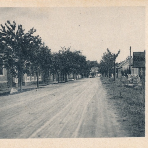 AK aus Trautmannsdorf Niederösterreich (7877)