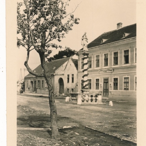 AK aus Trautmannsdorf Niederösterreich (7879)