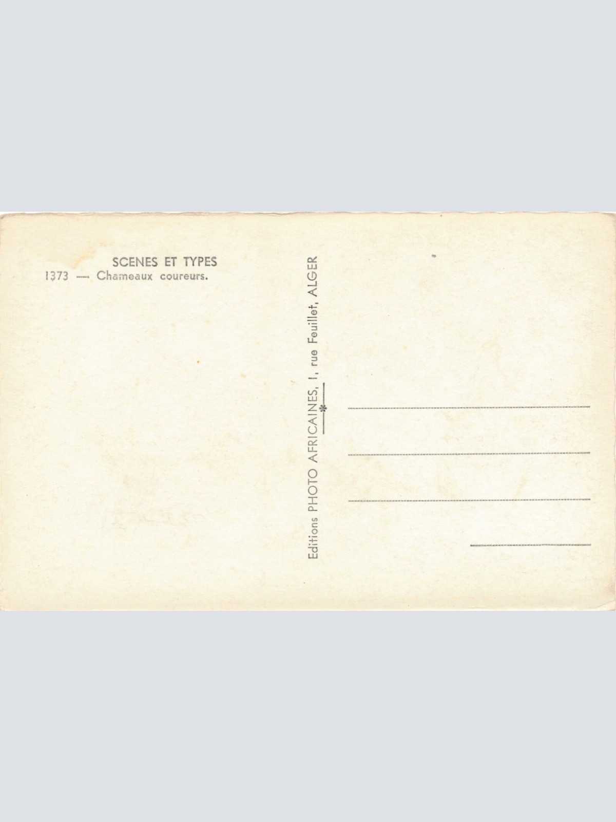 AK aus Algerien Scenes et Types mit Kamel Afrika (7772)
