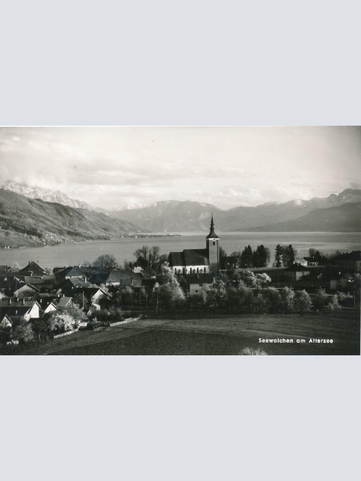 AK aus Seewalchen am Attersee Oberösterreich Ansichtskarte (8186)