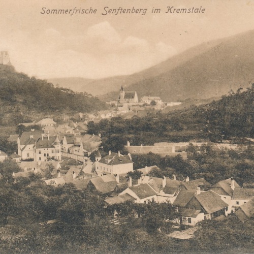 AK aus Senftenberg Niederösterreich (6642)