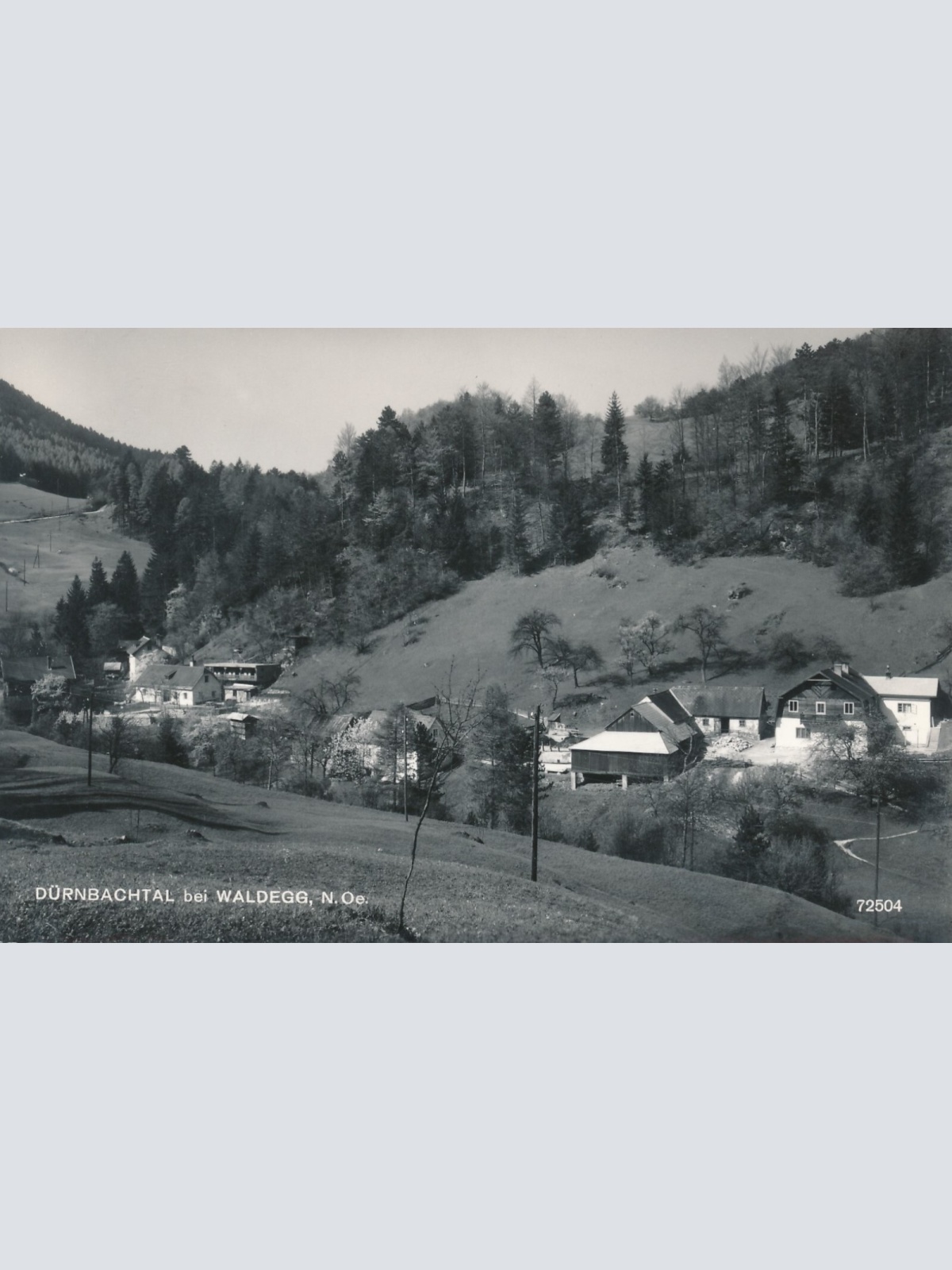 AK vom Dürnbachtal bei Waldegg Niederösterreich (6644)