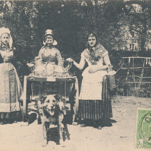 AK Ostende mit Hundekarren Belgien (6576)