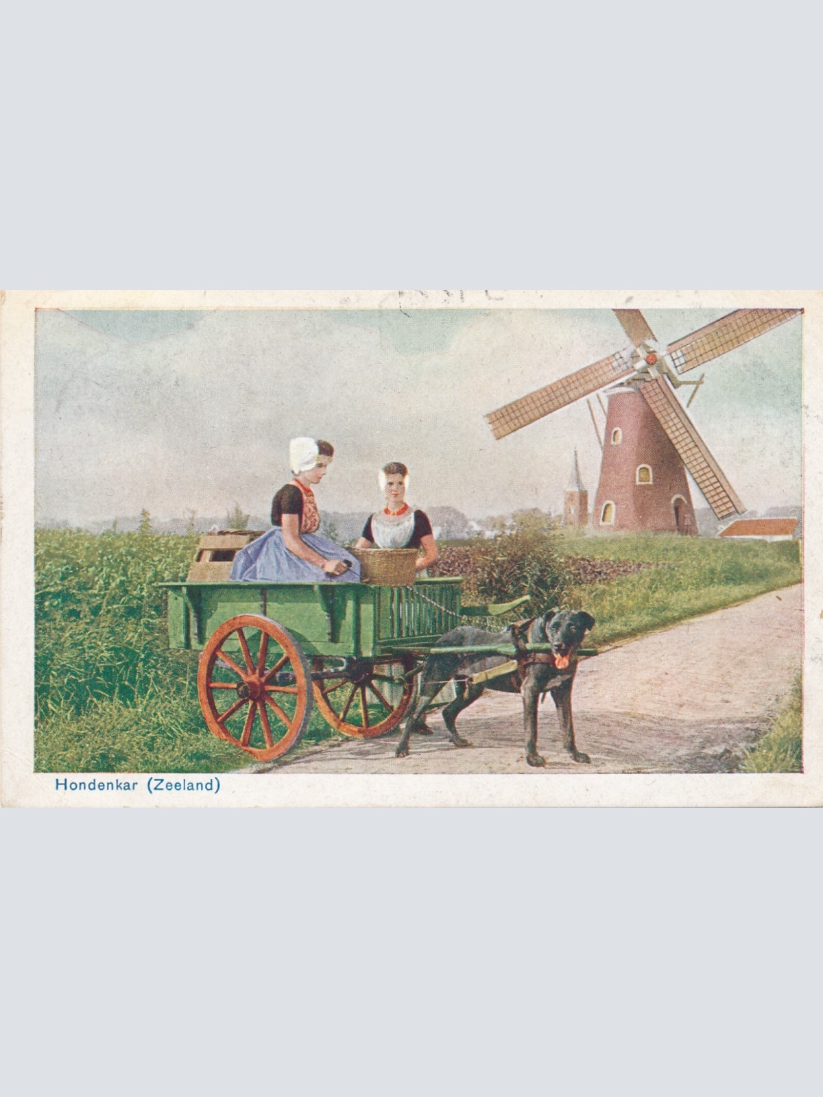 AK aus Zeeland mit Hundekarren - Hondenkar Niederlande (6567)