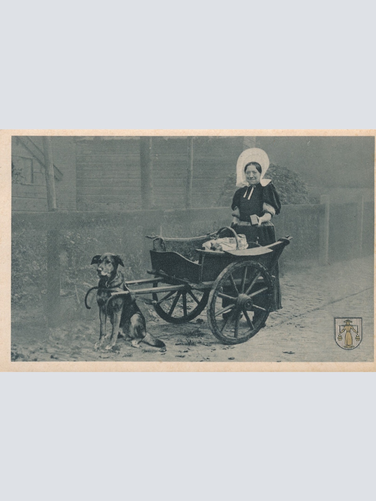 AK aus Huizen mit Hundekarren Niederlande (6566)