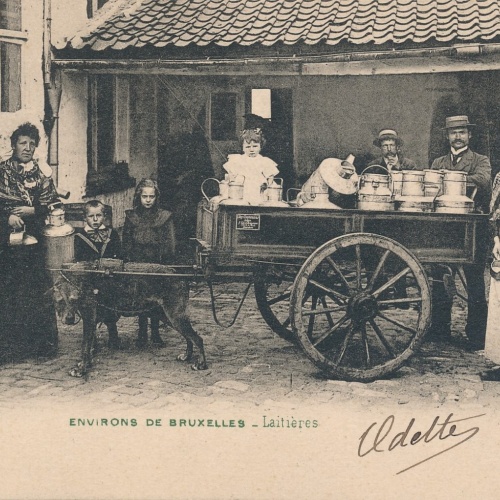 AK Enviros de Bruxelles Laitieres mit Hundekarren Belgien (6574)