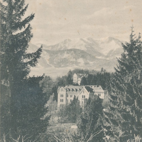 AK aus Gmunden mit Mädchenpension Oberösterreich Ansichtskarte (8445)