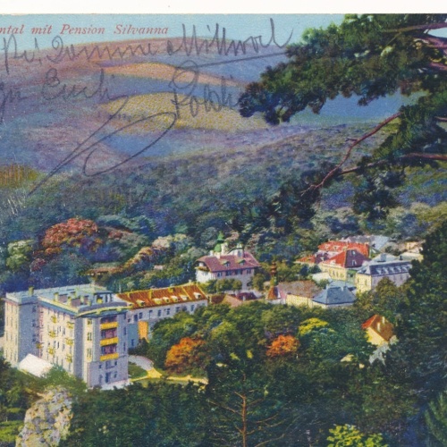 AK aus Baden mit Pension Silvanna Niederösterreich Ansichtskarte (8357)
