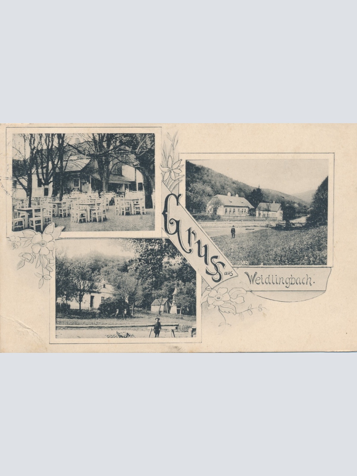 AK gruss aus Weidlingbach Niederösterreich (7173)