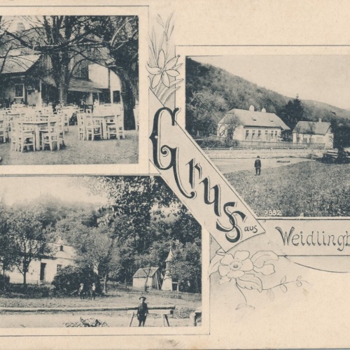 AK gruss aus Weidlingbach Niederösterreich (7173)