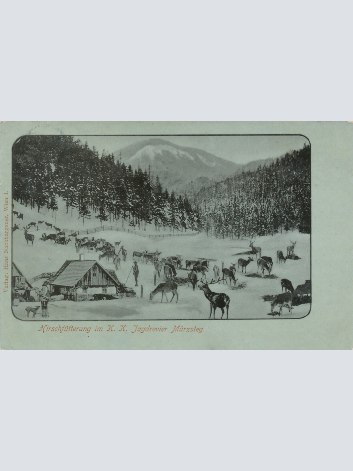 AK aus Mürzsteg Hirschfütterung im K.K. Jagtrevier Steiermark (7312)