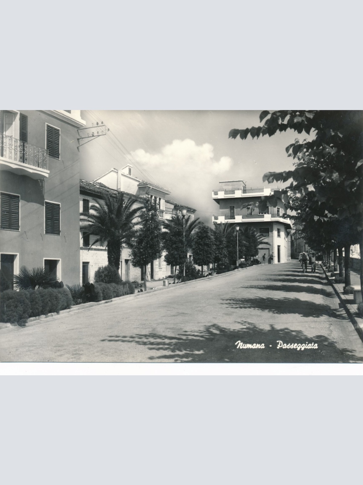 AK aus Passegiata Italien Ansichtskarte (9526)