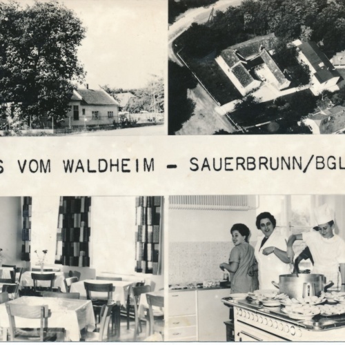 AK vom Waldheim Sauerbrunn Burgenland Ansichtskarte (9499)