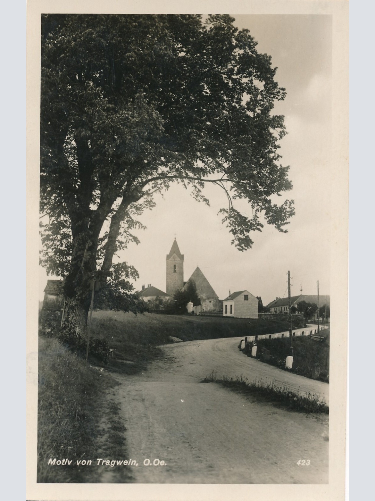 AK aus Tragwein Oberösterreich Ansichtskarte (9831)