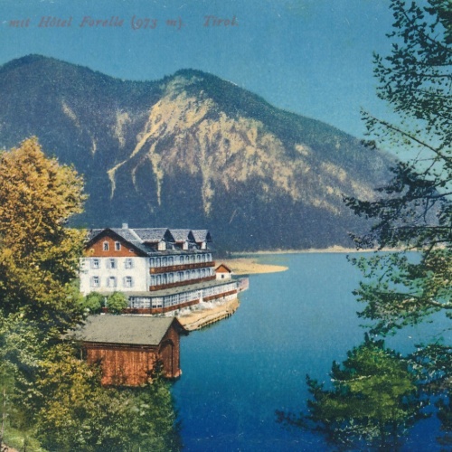 AK vom Plansee mit Hotel Forelle Tirol Ansichtskarte (9940)