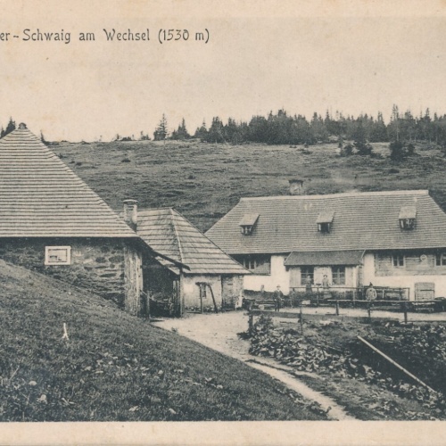 AK aus Schwaig am Wechsel Kranichberger Niederösterreich Ansichtskarte (9887)