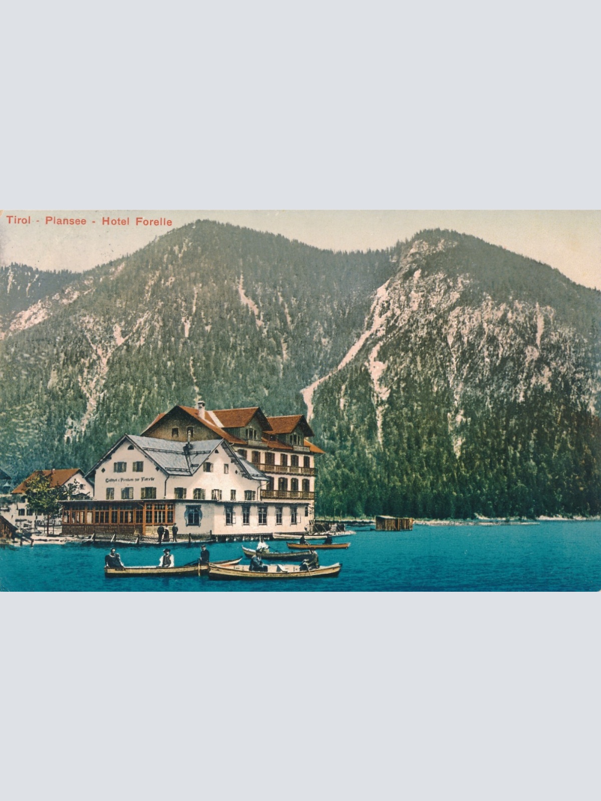 AK vom Plansee mit Hotel Forelle Tirol Ansichtskarte (9938)